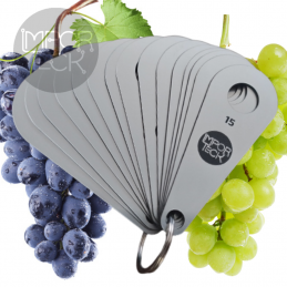 CALIBRADOR UVAS PLASTICO...